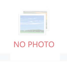 黃石晨信光電股份有限公司局部視覺點膠機采購